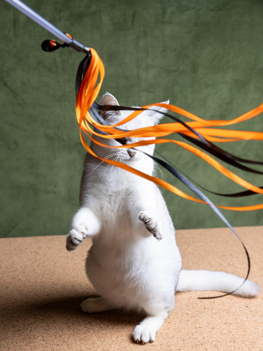 Ribbon Dance – Cat Teaser Wand 50 cm