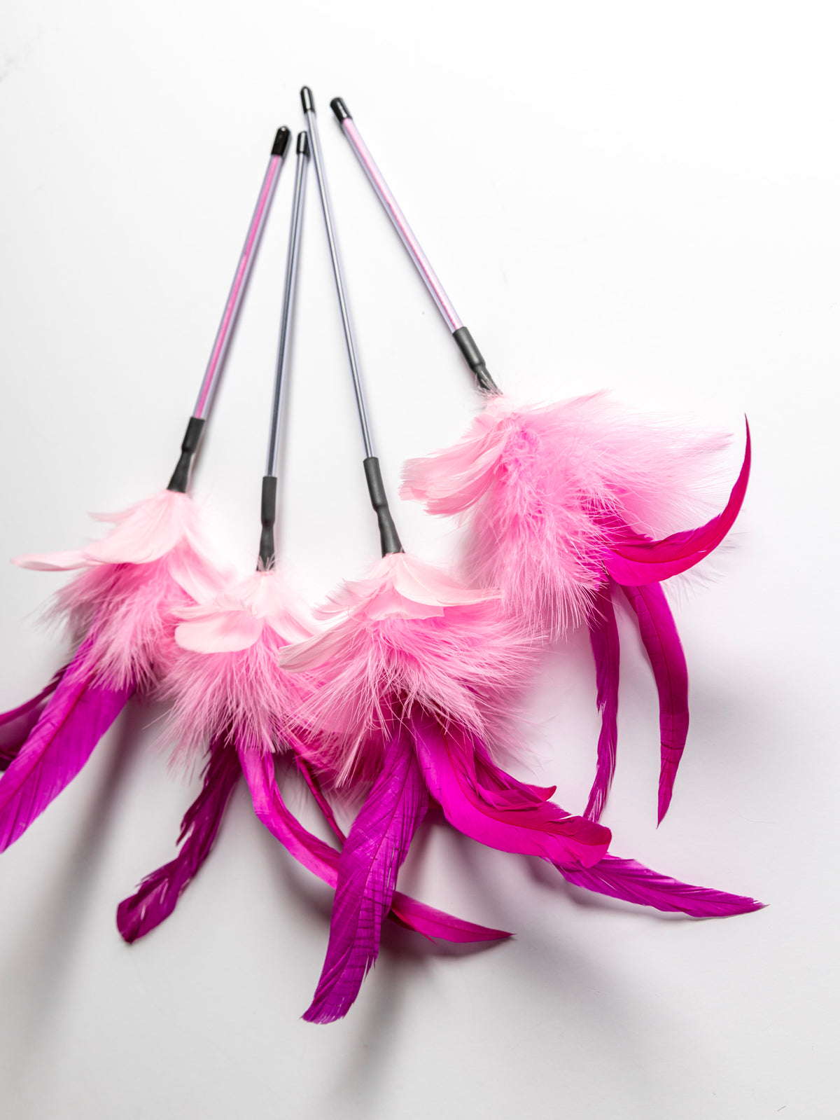 Cat Show Teaser – 40 cm Feather Wand