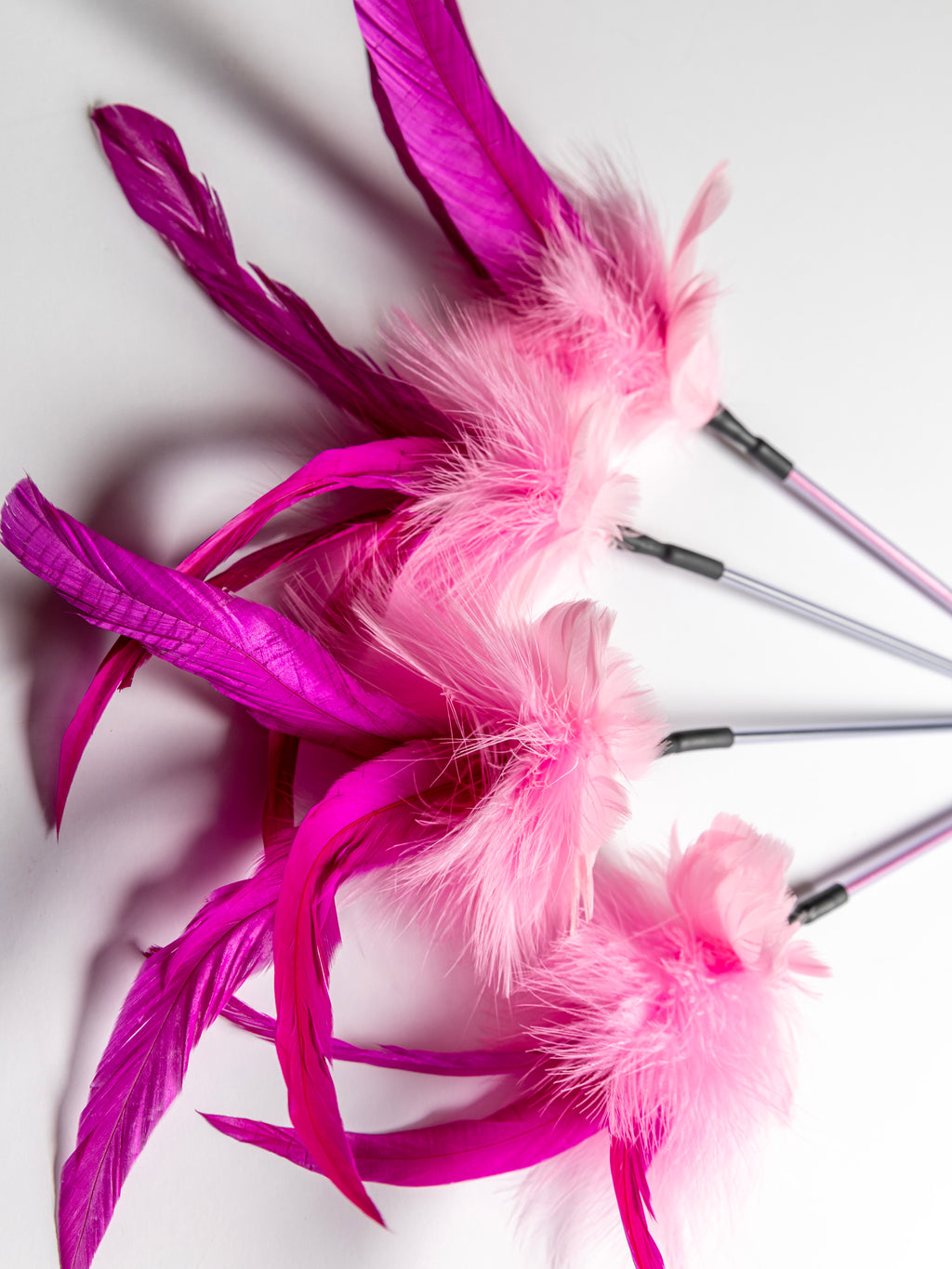 Cat Show Teaser – 40 cm Feather Wand