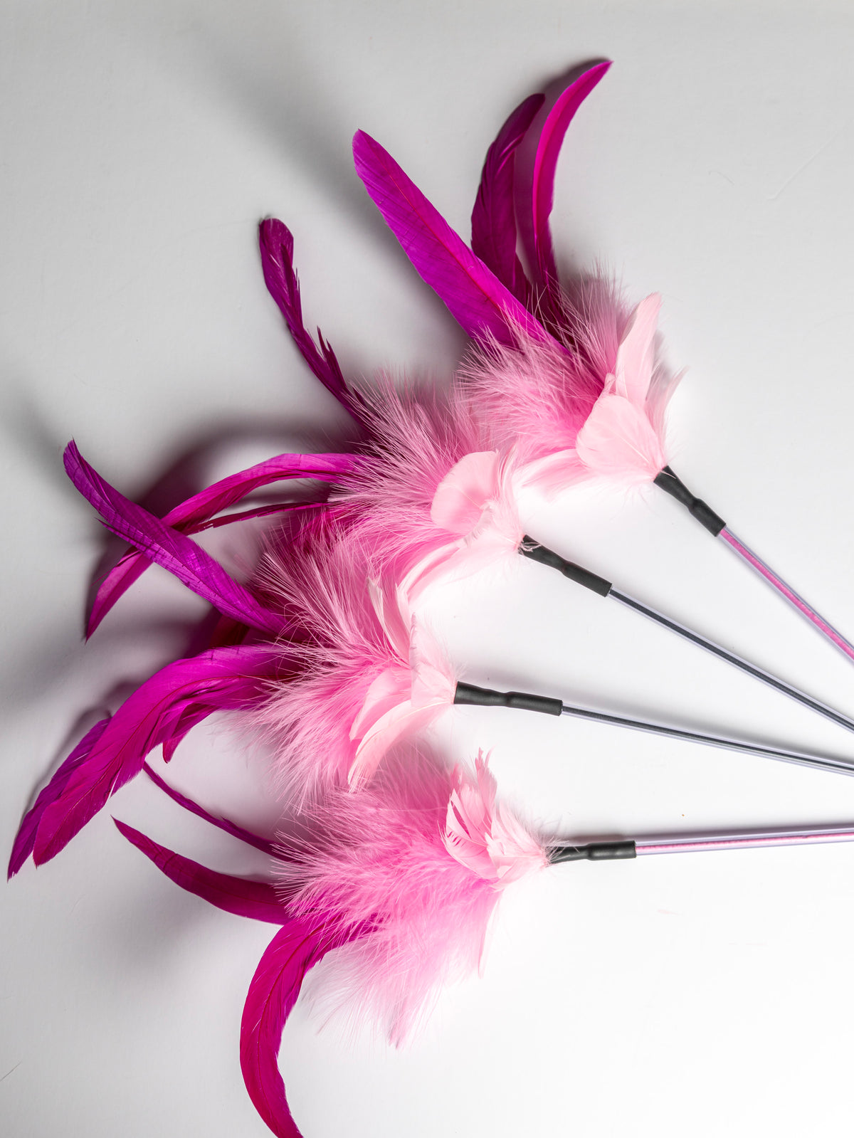 Cat Show Teaser – 40 cm Feather Wand