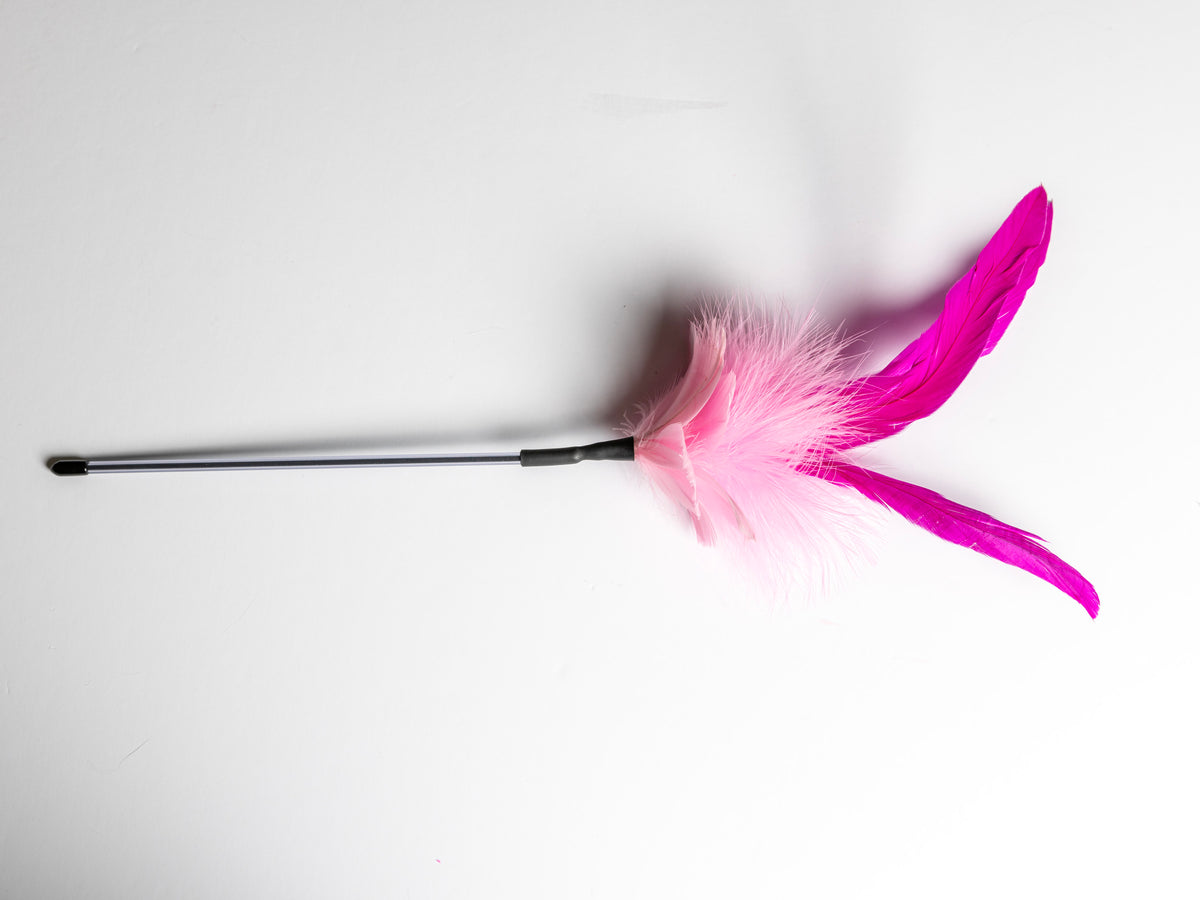 Cat Show Teaser – 40 cm Feather Wand
