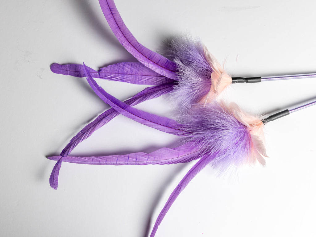 Cat Show Teaser – 40 cm Feather Wand