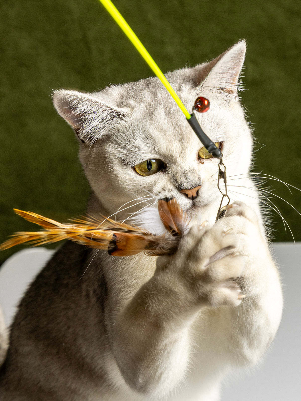 Ultra Thin – 45 cm Rabbit Fur & Feather Cat Teaser Wand (Copy)