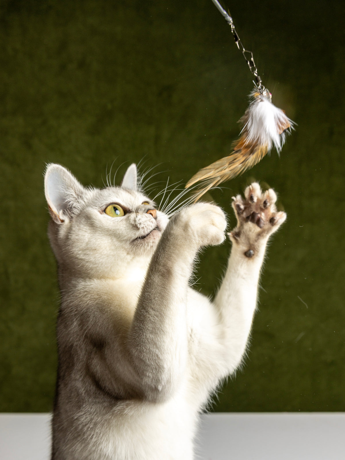 Ultra Thin – 45 cm Rabbit Fur & Feather Cat Teaser Wand (Copy)