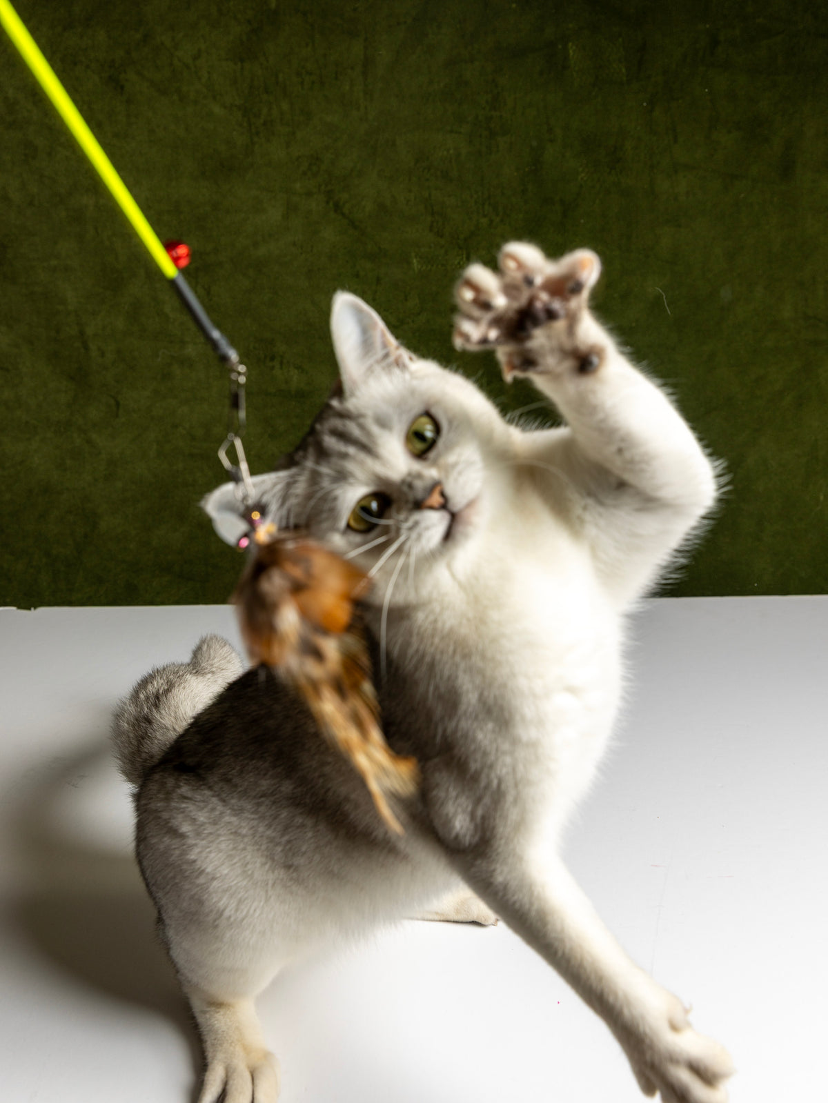 Ultra Thin – 45 cm Rabbit Fur & Feather Cat Teaser Wand (Copy)