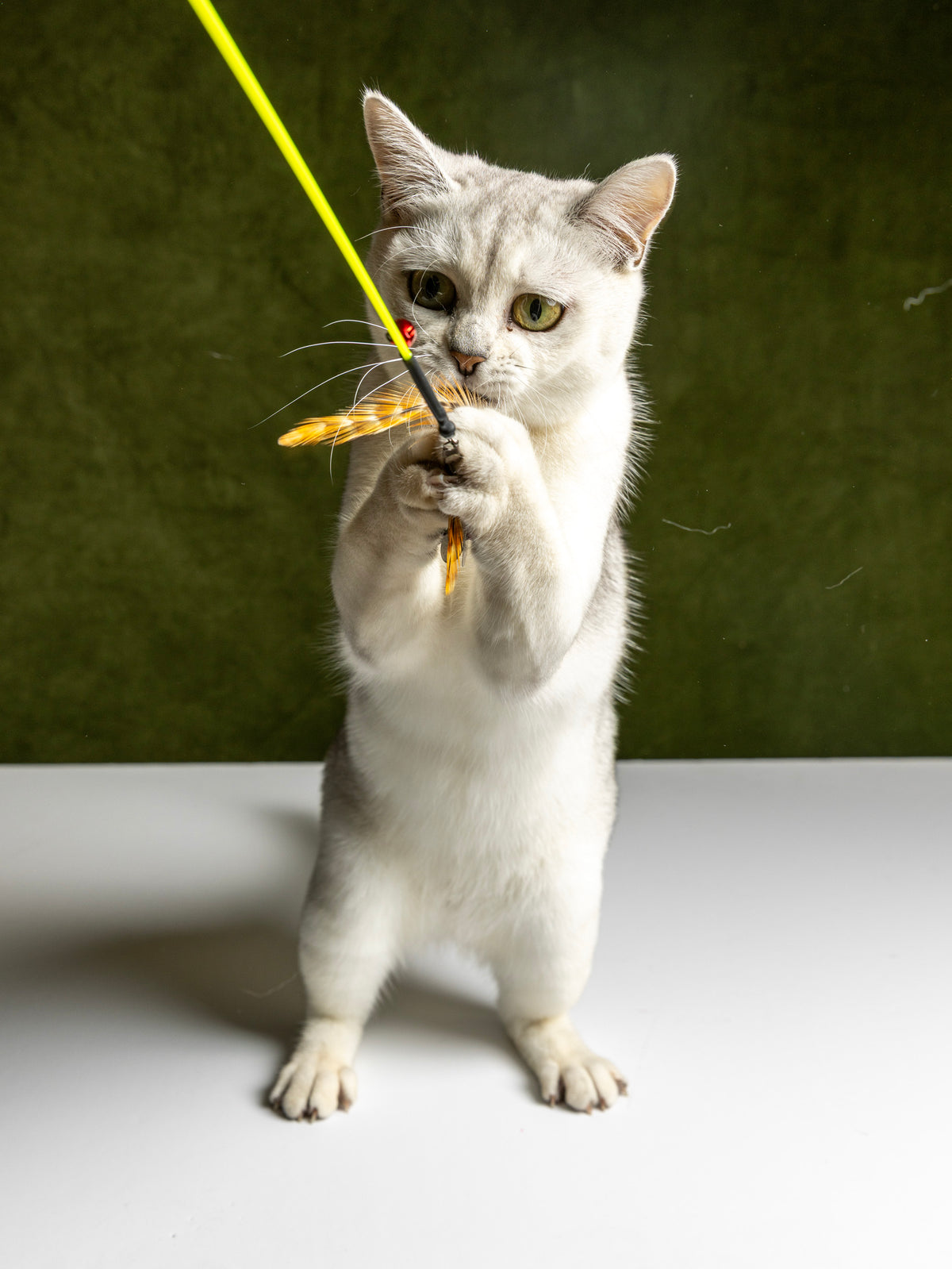 Ultra Thin – 45 cm Rabbit Fur & Feather Cat Teaser Wand (Copy)