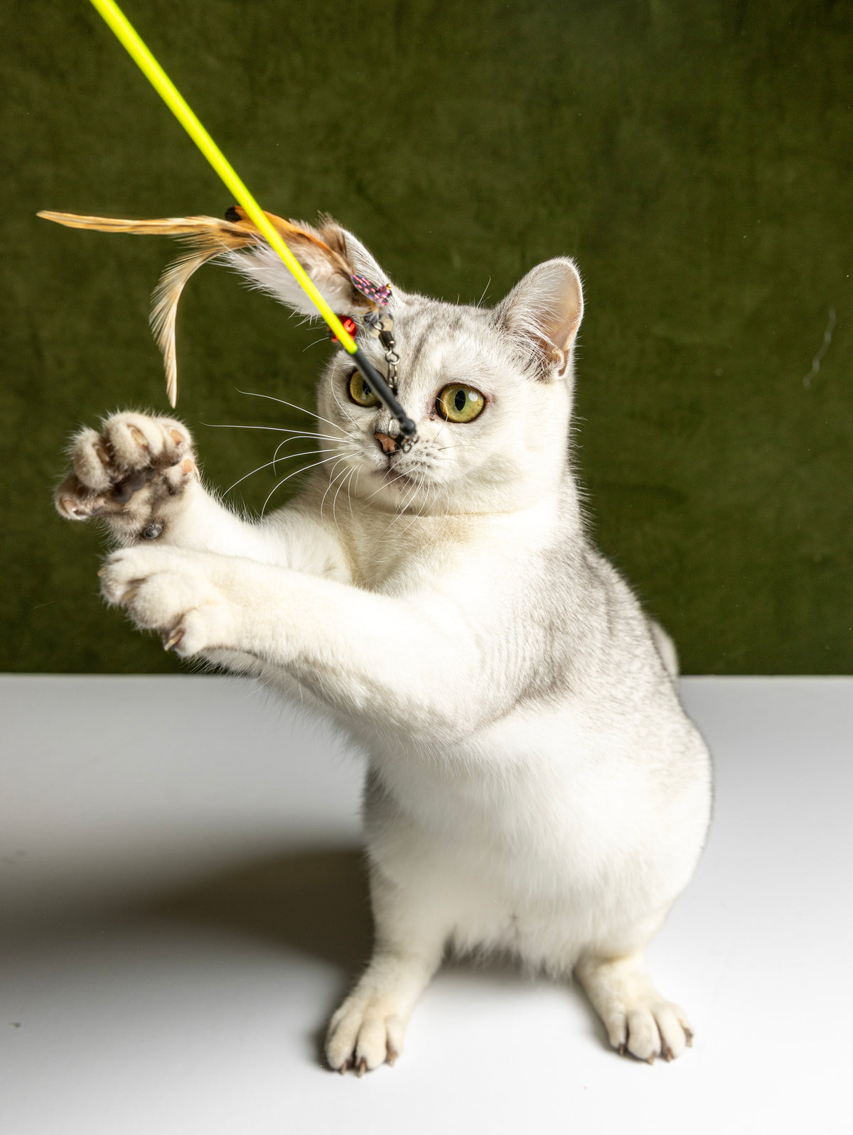 Ultra Thin – 45 cm Rabbit Fur & Feather Cat Teaser Wand (Copy)