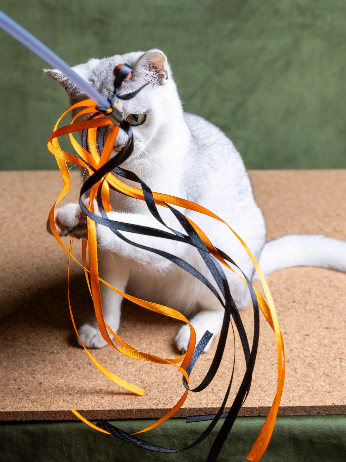 Ribbon Dance – Cat Teaser Wand 50 cm