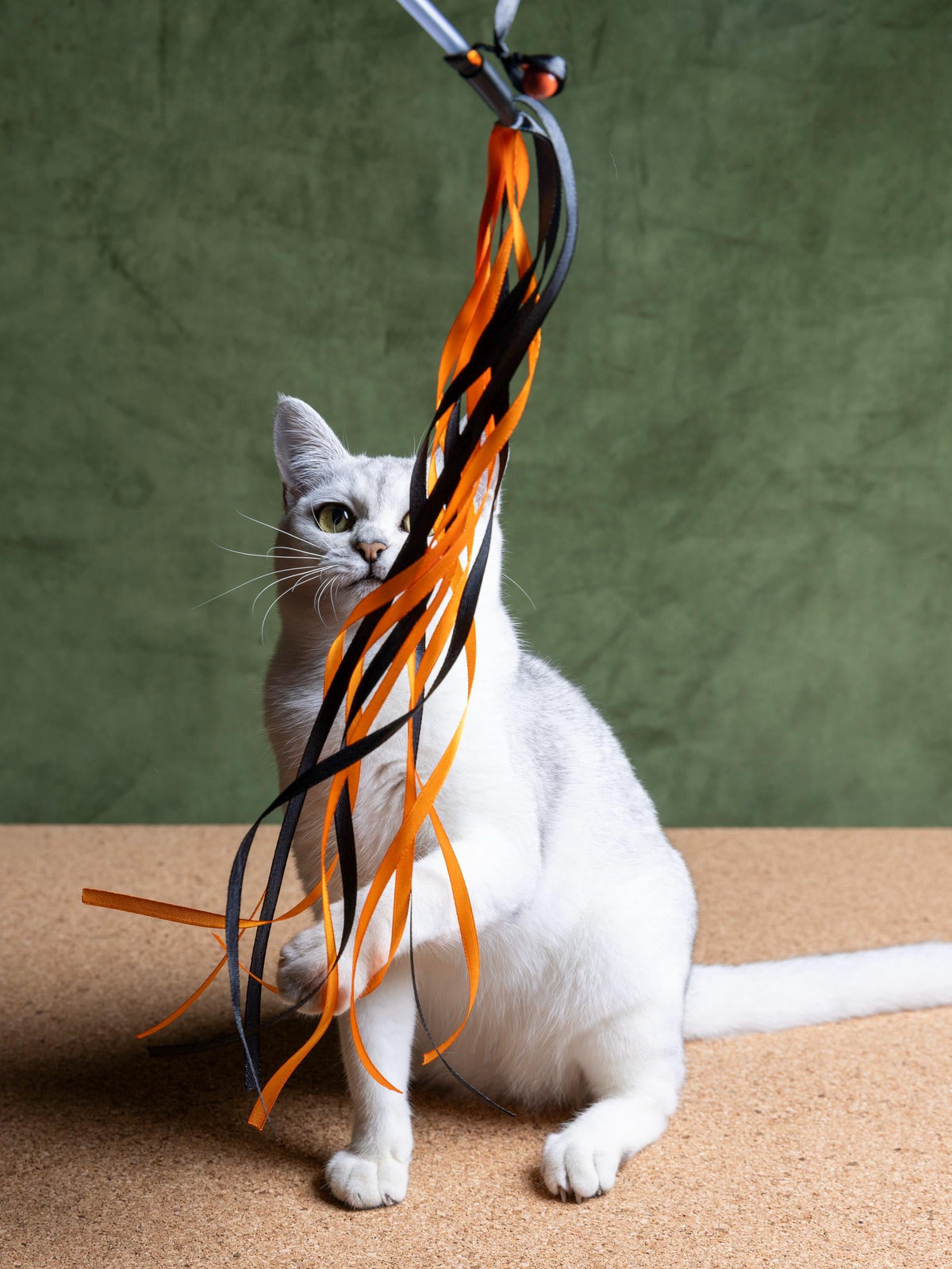 Ribbon Dance – Cat Teaser Wand 50 cm
