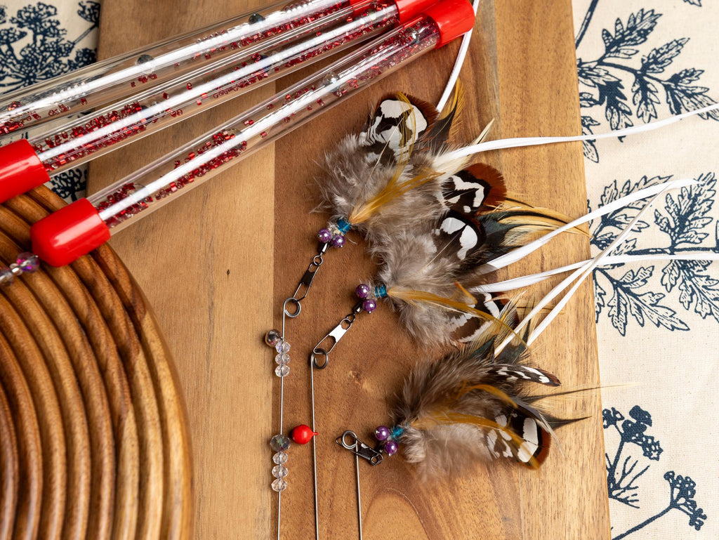 Dragonfly – Feather Cat Teaser