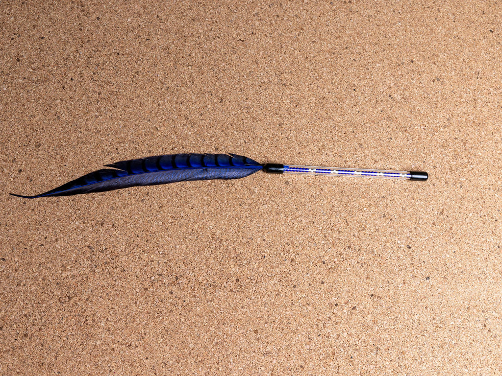 Cat Show Teaser – 45 cm Feather Wand