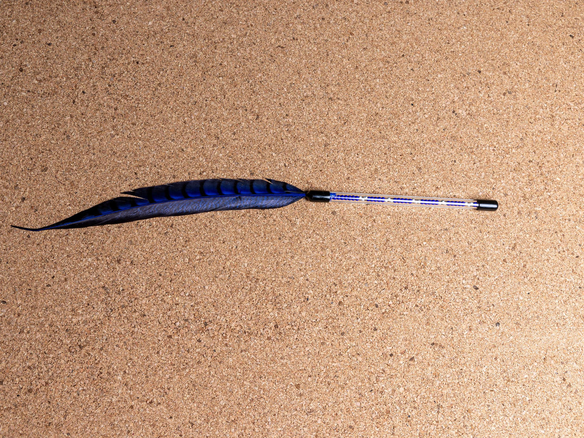 Cat Show Teaser – 45 cm Feather Wand