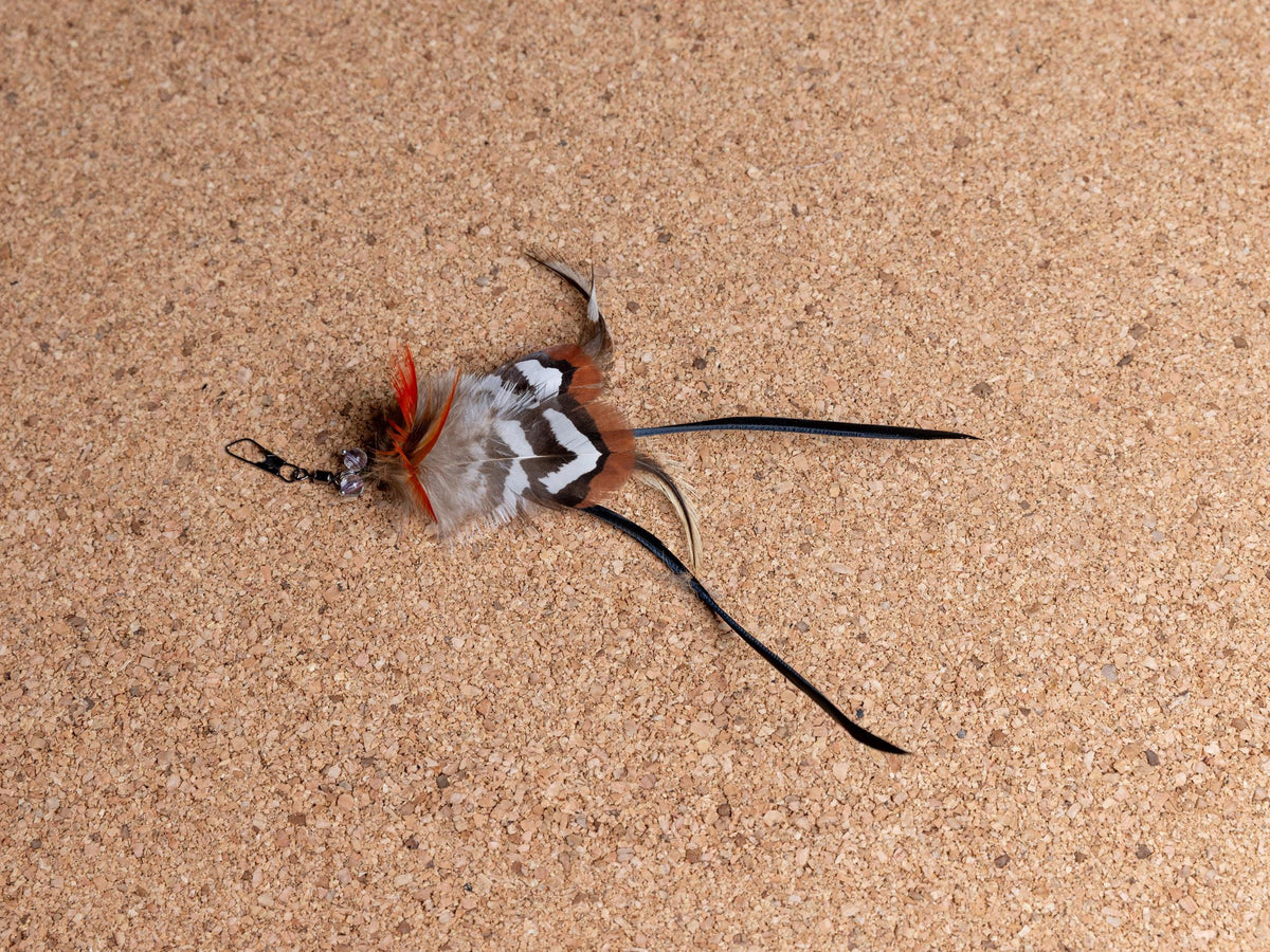 Dragonfly – Feather Cat Teaser Refill