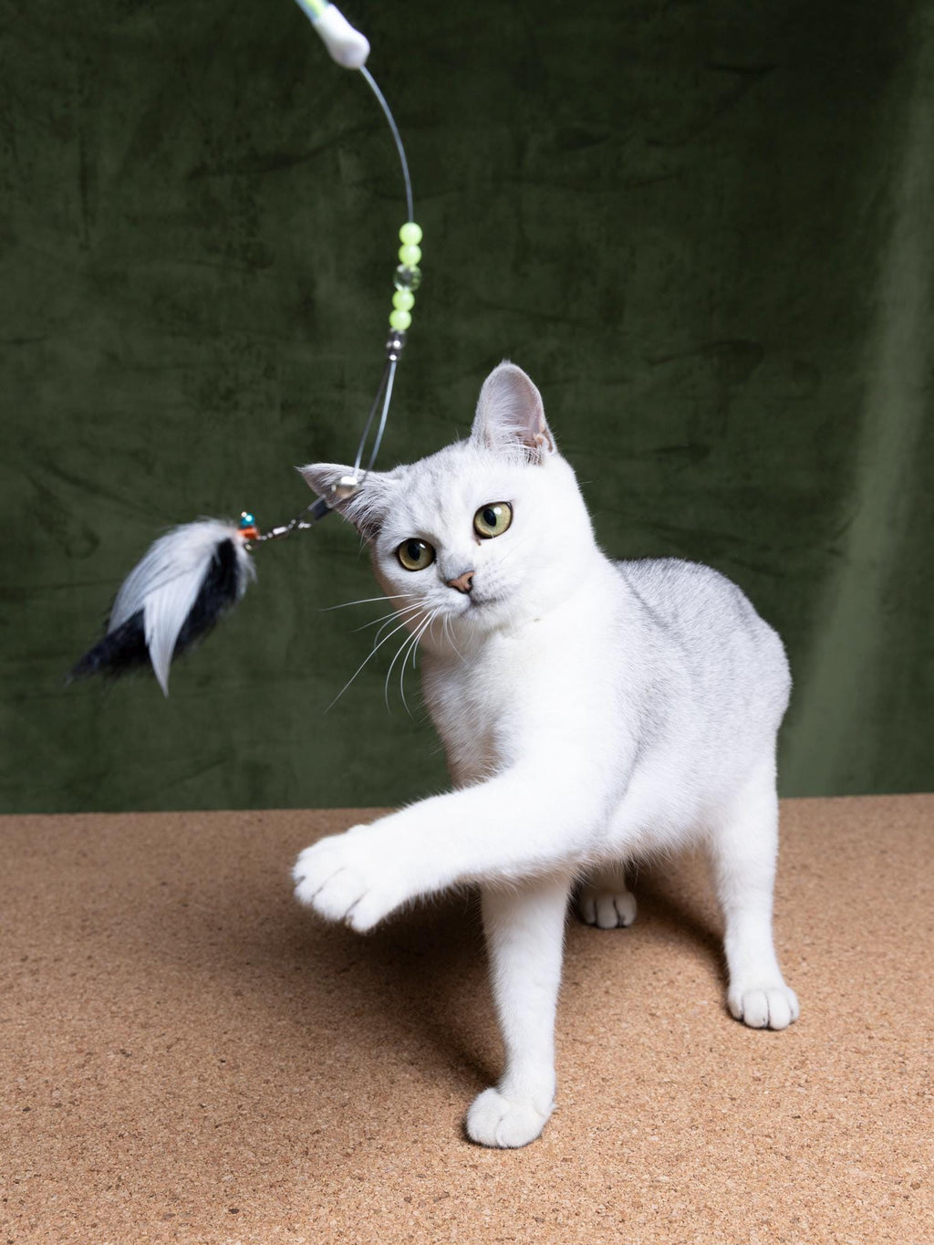 Bumblebee – 40 cm Cat Teaser Wand