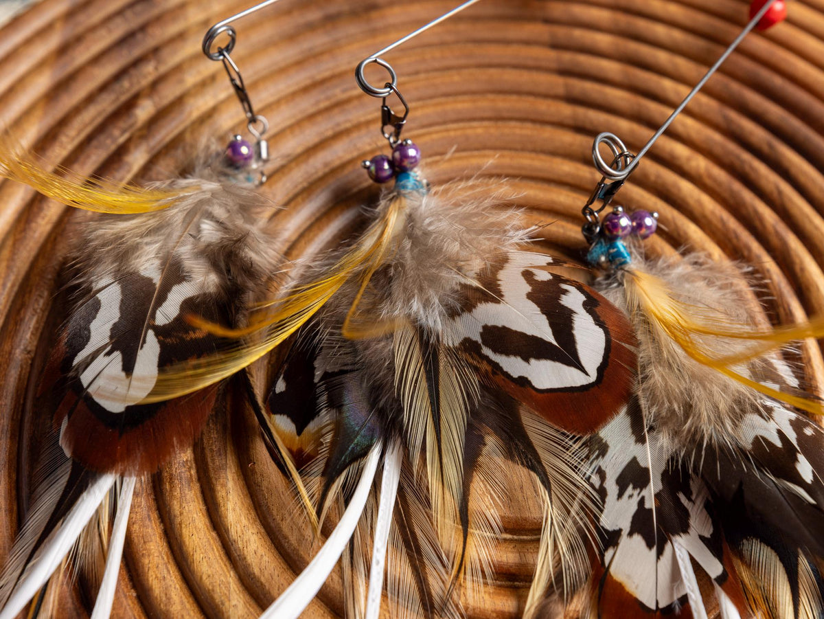 Dragonfly – Feather Cat Teaser