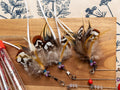 Dragonfly – Feather Cat Teaser