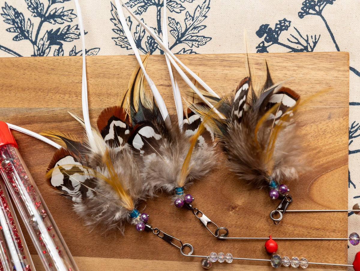 Dragonfly – Feather Cat Teaser