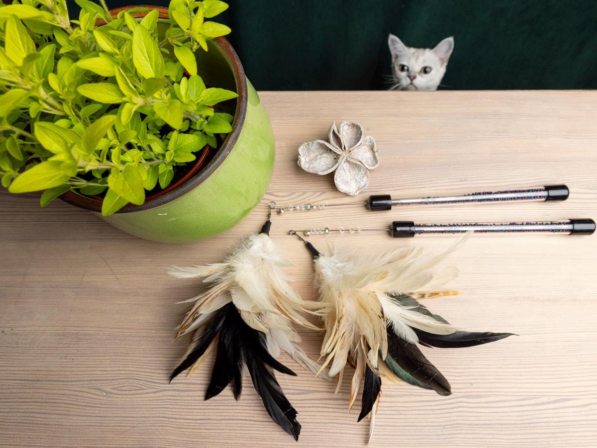 30+20cm Handmade White Feather Cat TOY – Cat Teaser, Pet Gift, Show