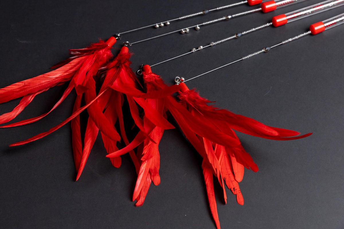 Red Feather – 45 cm Cat Teaser Wand