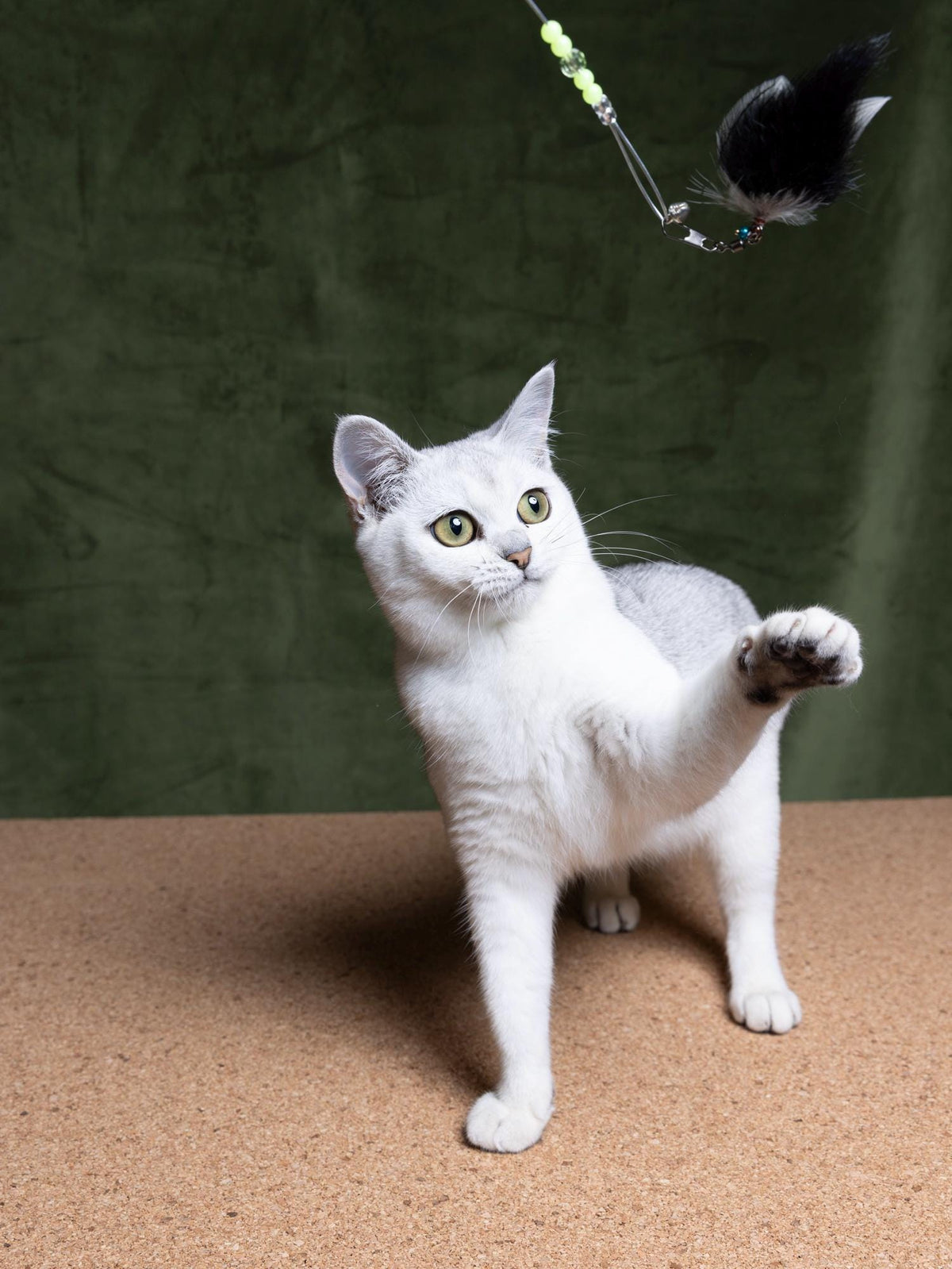 Bumblebee – 40 cm Cat Teaser Wand