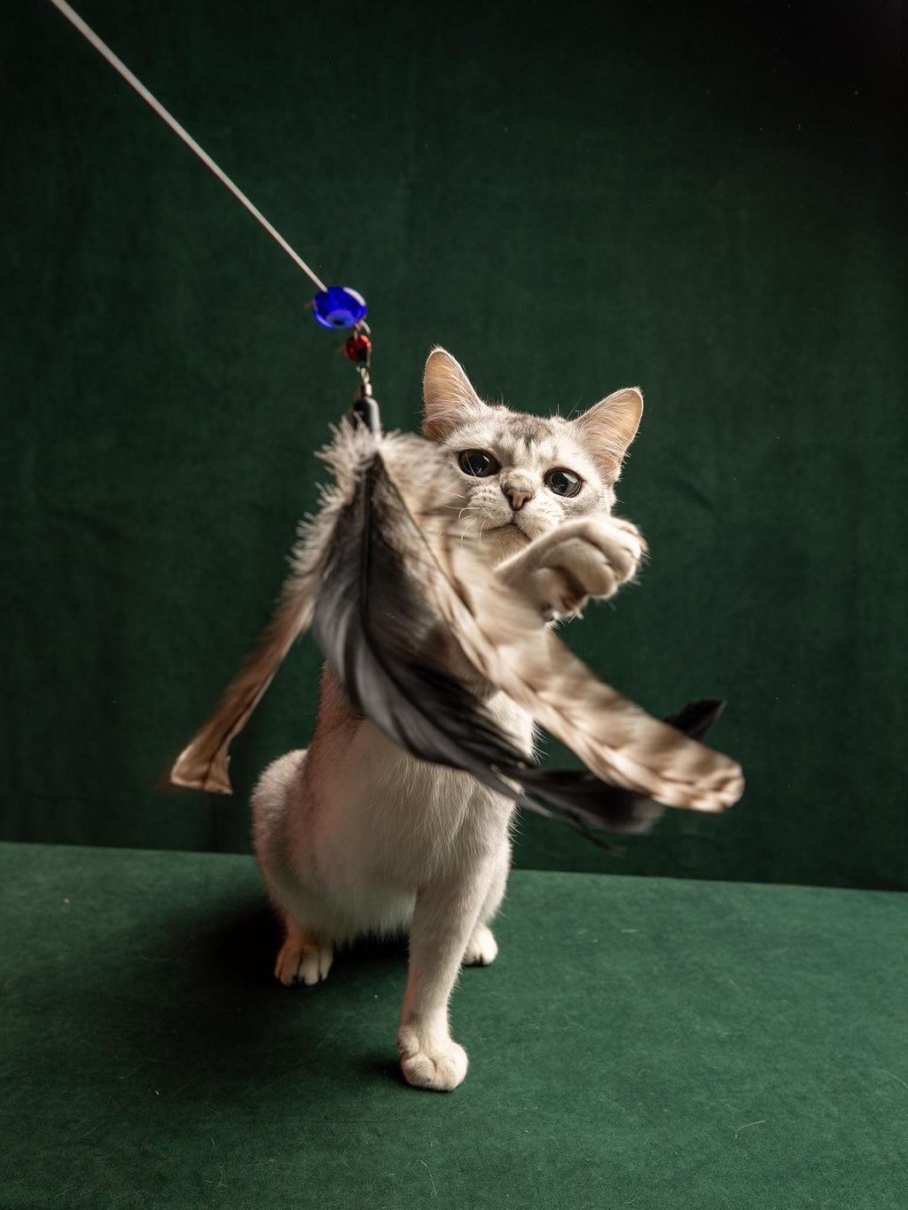 Soft Spinner – 40+35 cm Telescopic Cat Teaser Wand