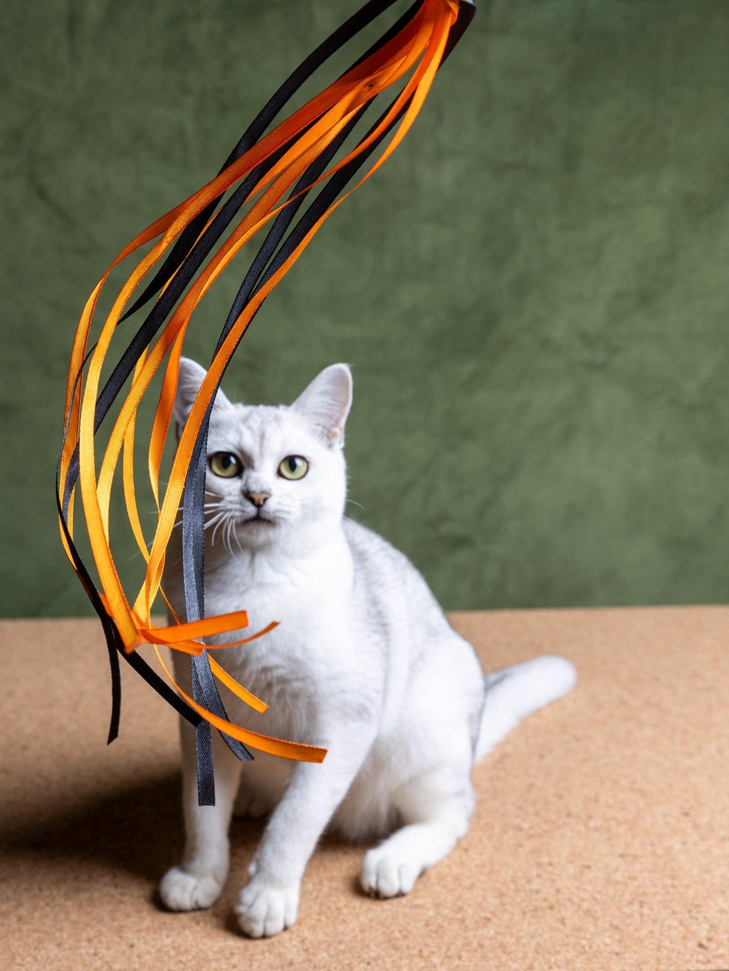 Ribbon Dance – Cat Teaser Wand 50 cm