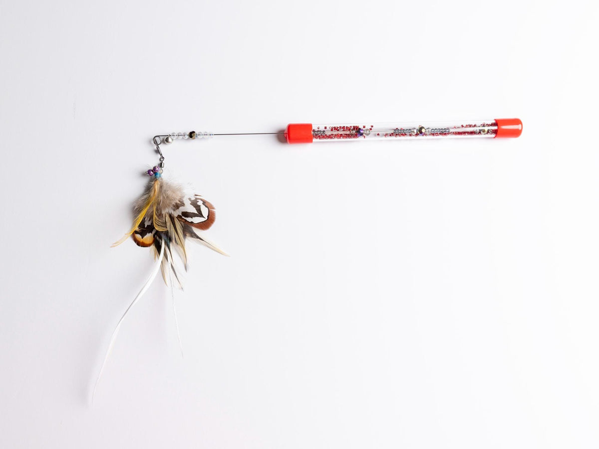 Dragonfly – Feather Cat Teaser