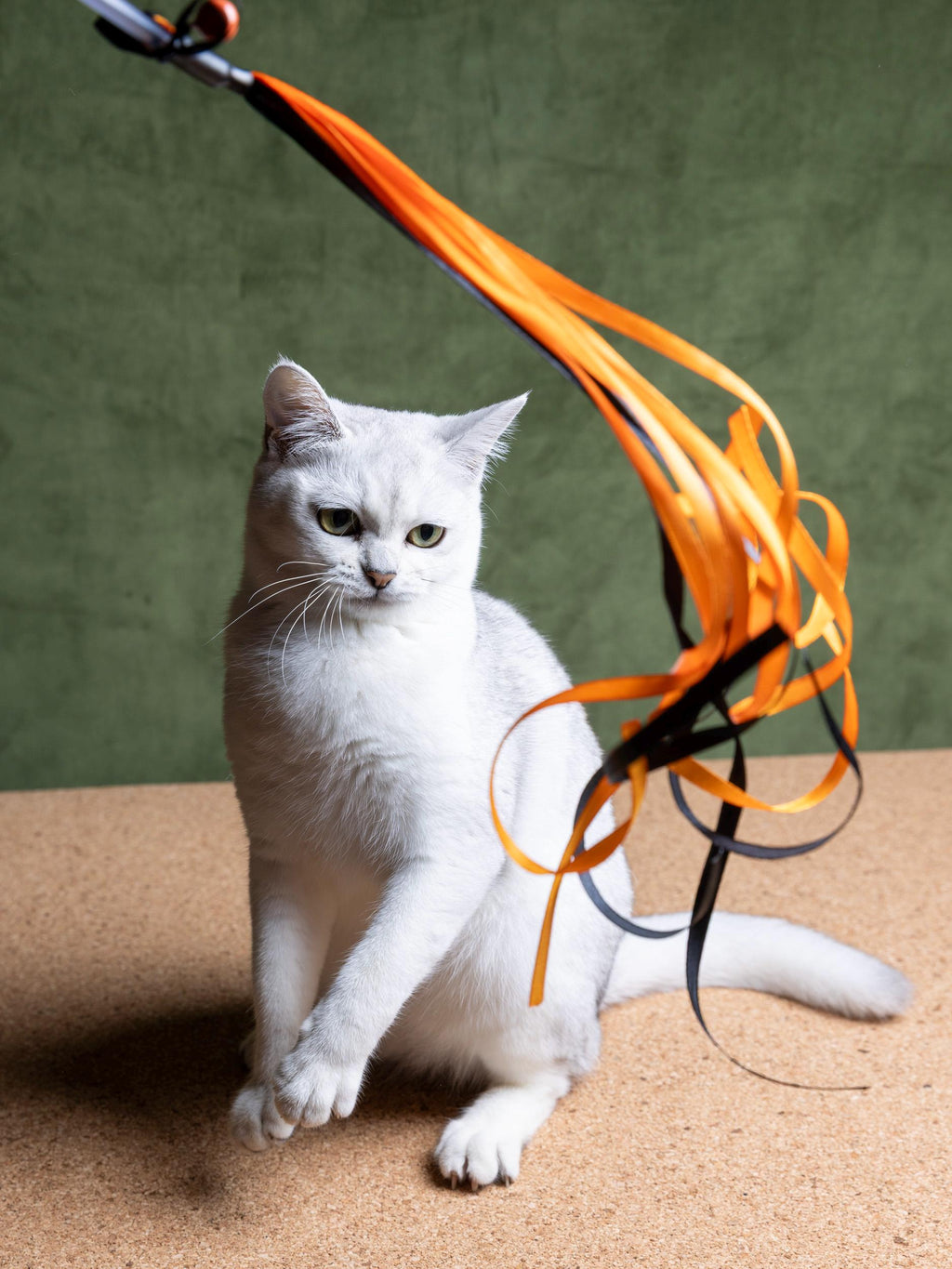 Ribbon Dance – Cat Teaser Wand 50 cm