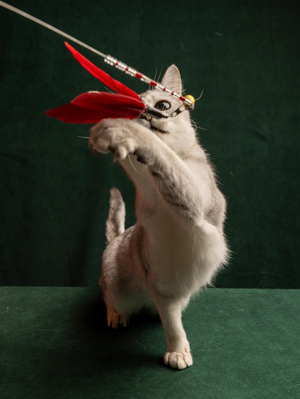 Flying Bird – 45 cm Cat Teaser Wand with Rabbit Fur & Feathers