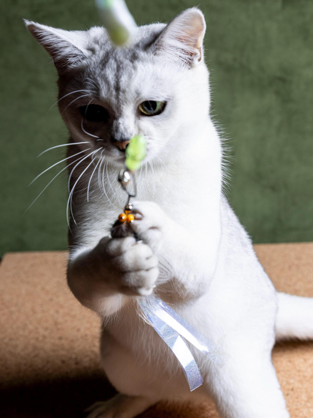 Shimmer Fly – Cat Teaser Wand