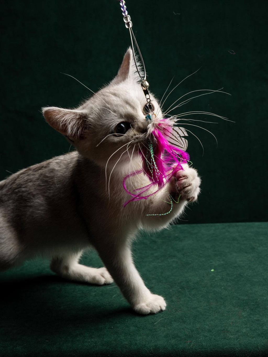 Pink Moth – 30 cm Cat Teaser Wand