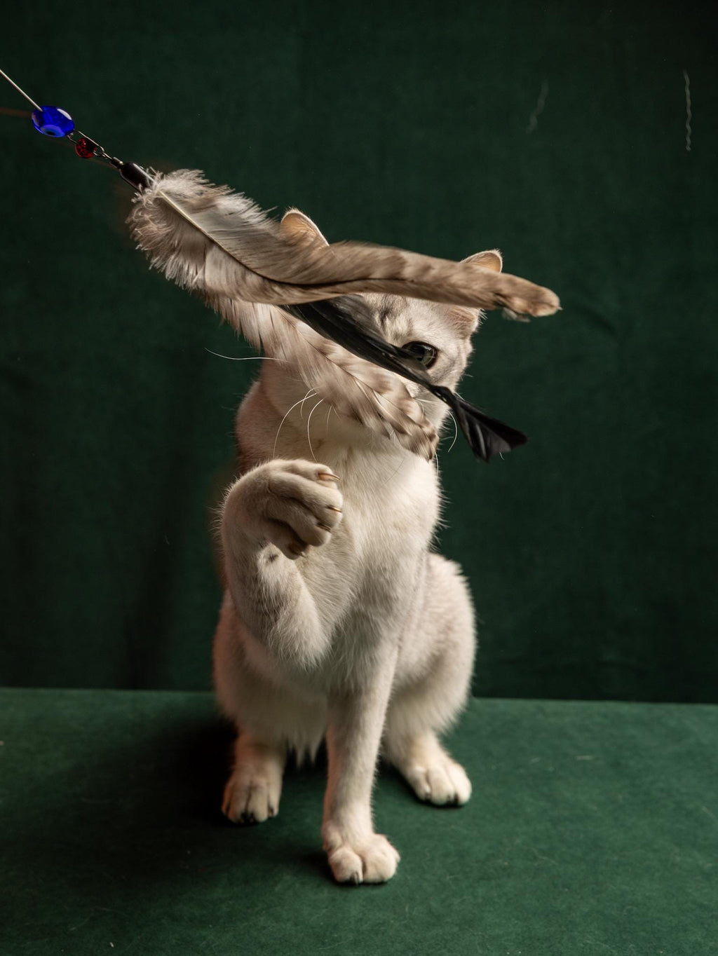 Soft Spinner – 40+35 cm Telescopic Cat Teaser Wand