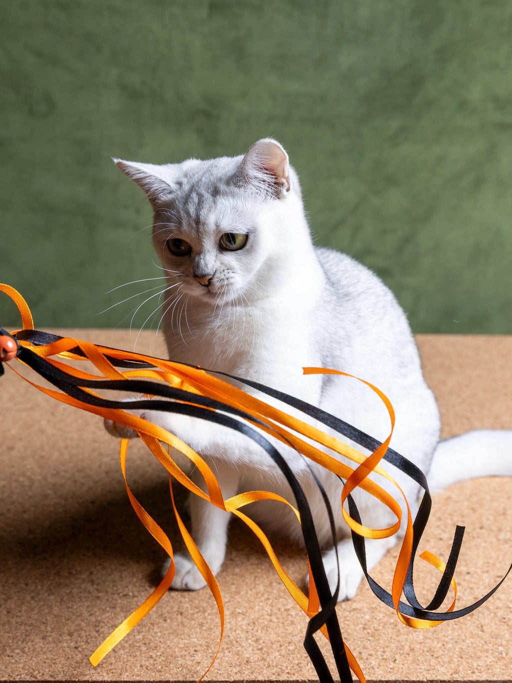Ribbon Dance – Cat Teaser Wand 50 cm
