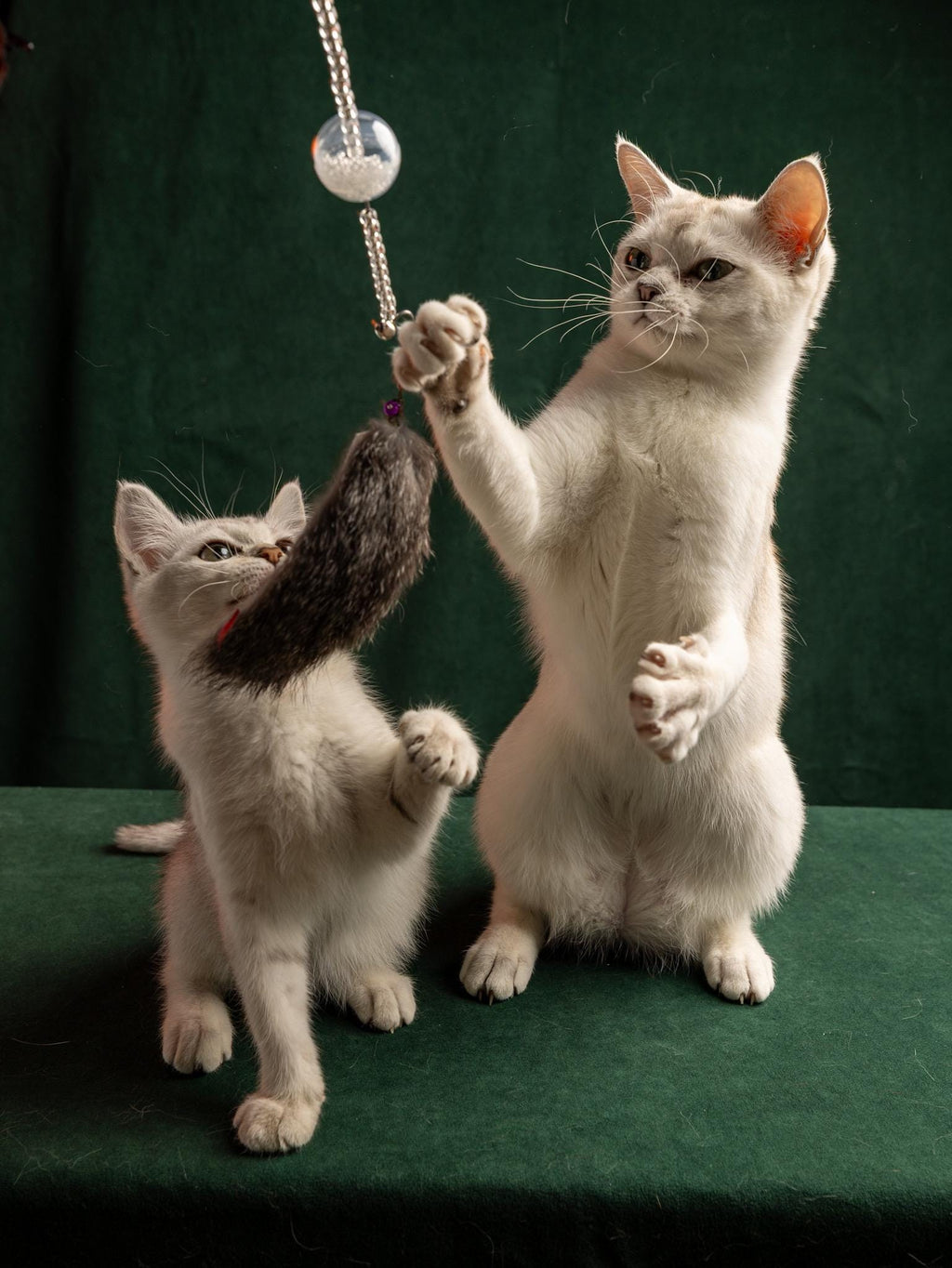 30cm Rabbit Fur Cat Teaser Wand