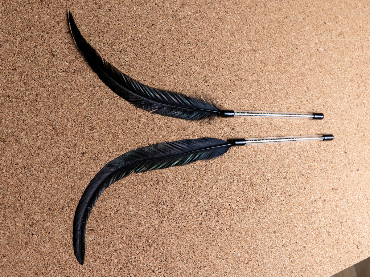 Cat Show Teaser – 45 cm Feather Wand