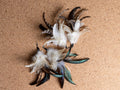 Fluffy Feather Tail – Cat Teaser Refill 20 cm
