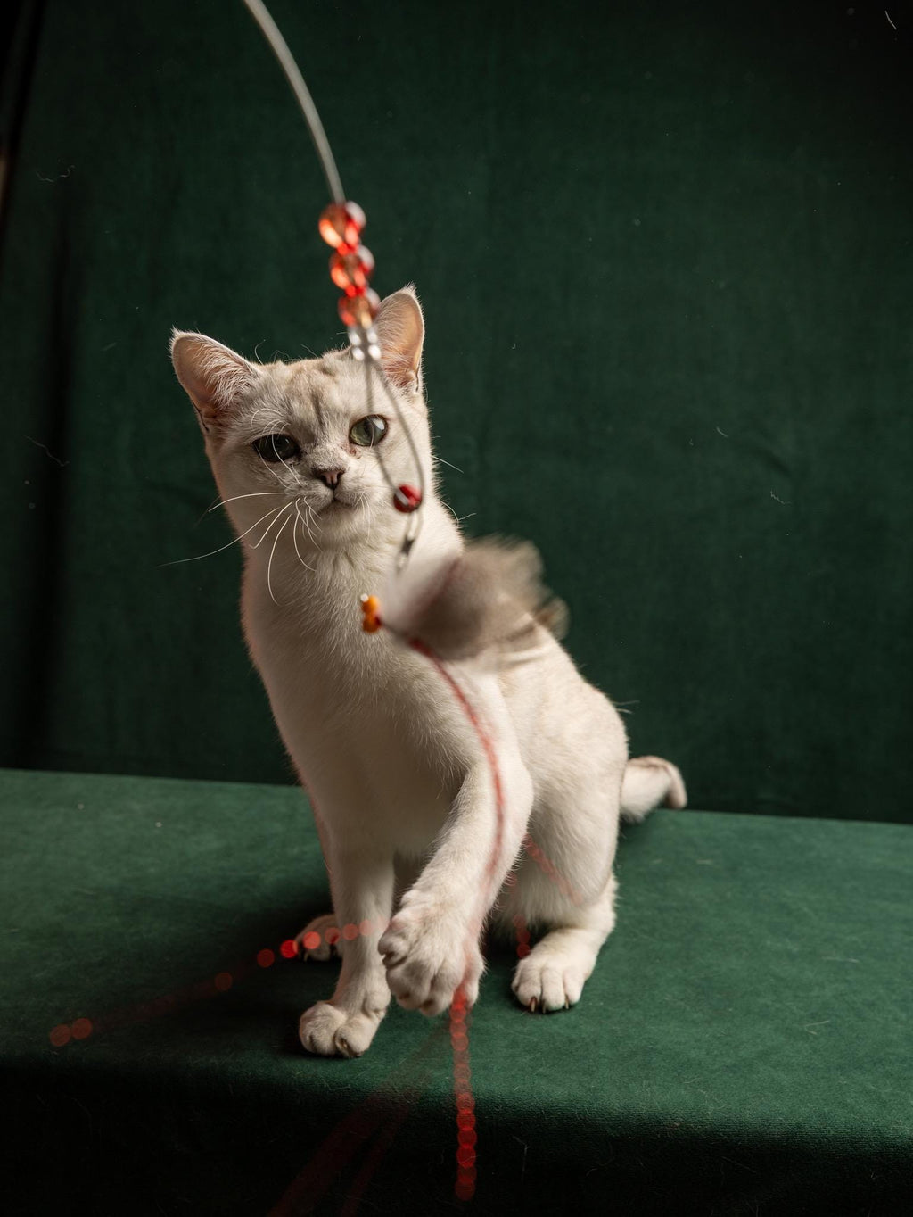 Flying Bug – Cat Teaser Wand with Rabbit Fur & Feathers