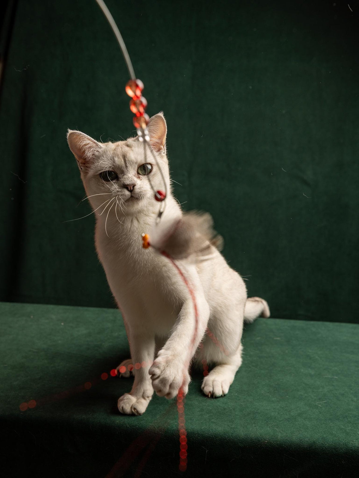 Flying Bug – Cat Teaser Wand with Rabbit Fur & Feathers