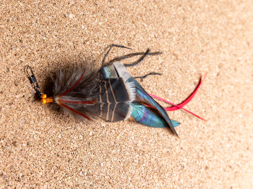 Big Moth – Feather Cat Teaser Refill 10 cm
