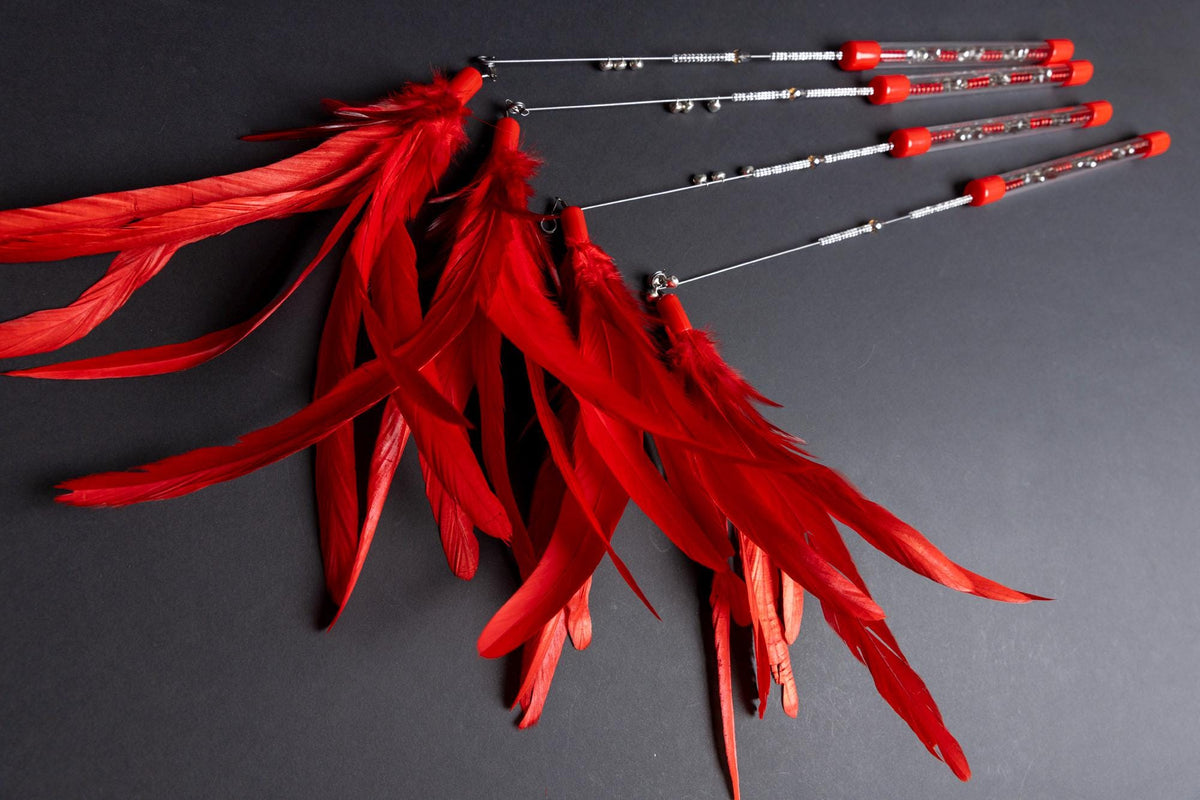 Red Feather – 45 cm Cat Teaser Wand