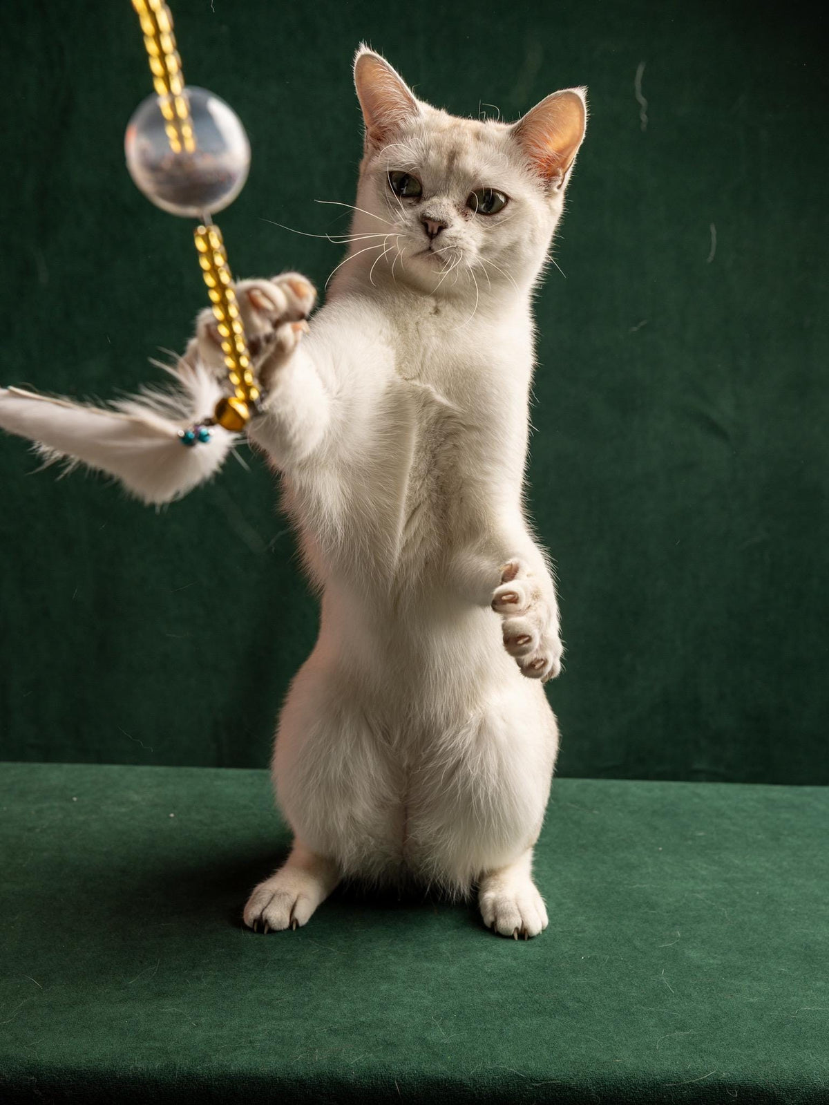30 cm Rabbit Fur Cat Teaser Wand