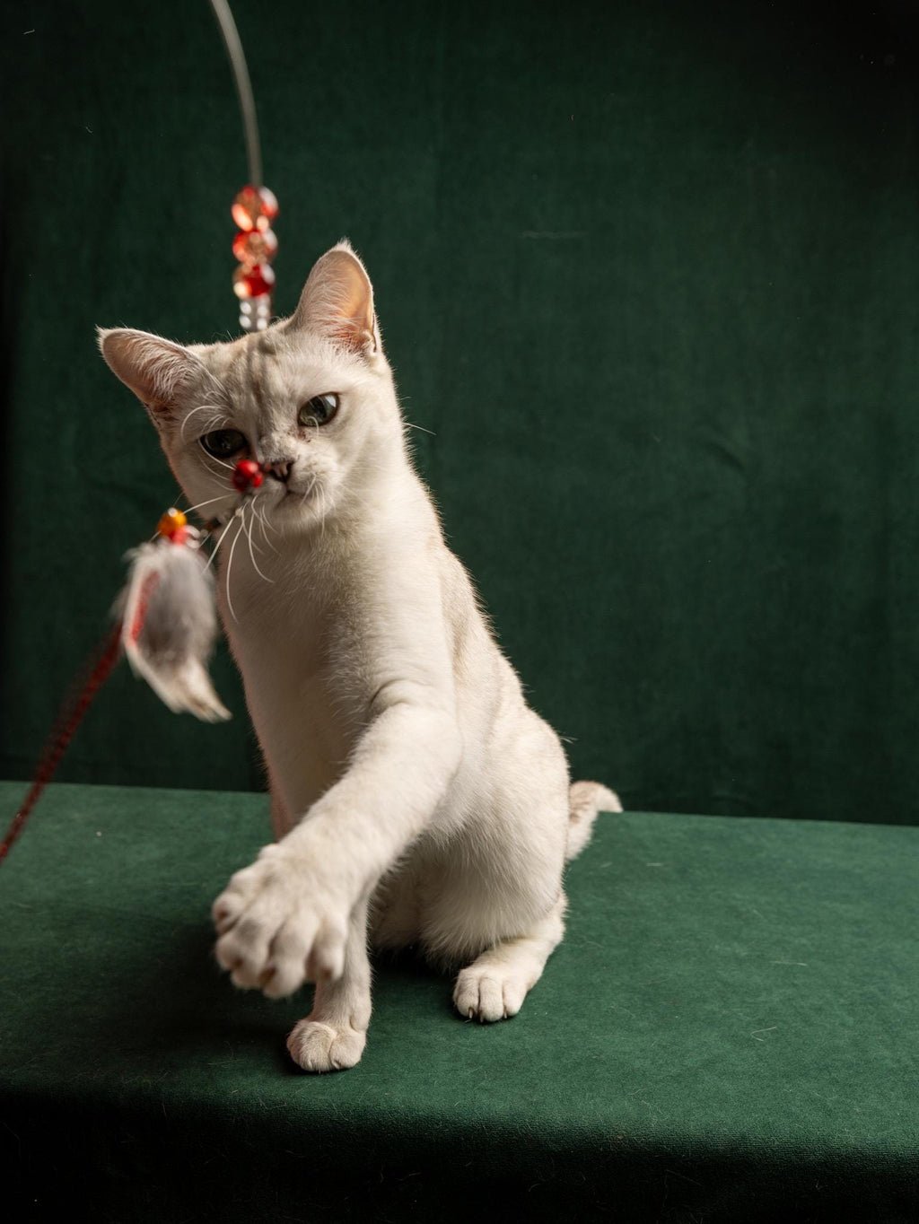Flying Bug – Cat Teaser Wand with Rabbit Fur & Feathers