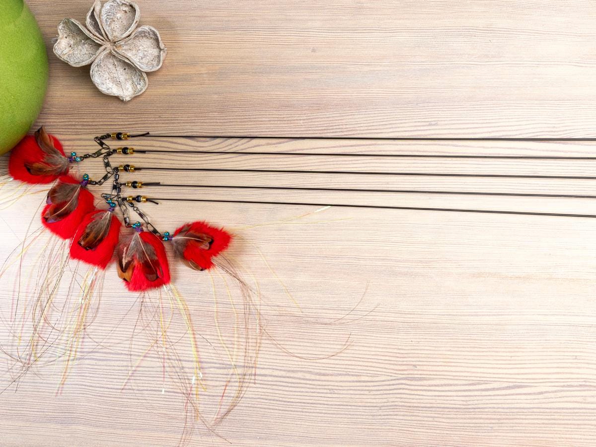 Interactive Cat Wand Toy – Insect Fly Feather and Rabbit Fur Teaser, Safe Metal Rod