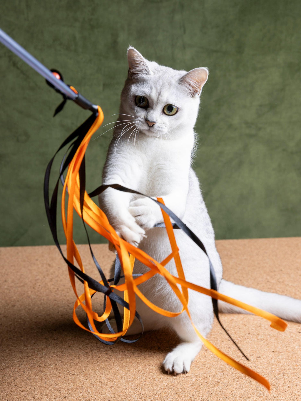 Ribbon Dance – Cat Teaser Wand 50 cm